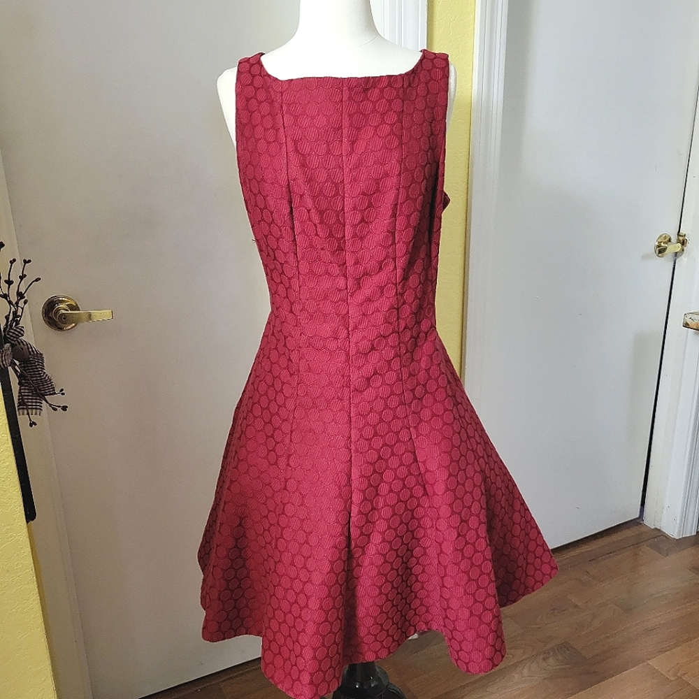 Beautiful Cranberry Pincess Cut Holiday Dress size 12
